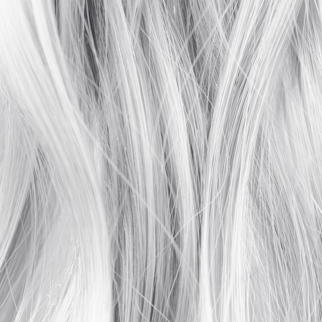 gray-curly-hair-texture-closeup-light-gray-hair-background3.png